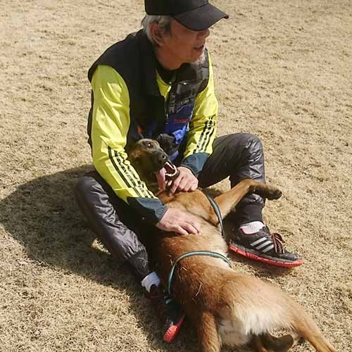 ドッグトレーナー