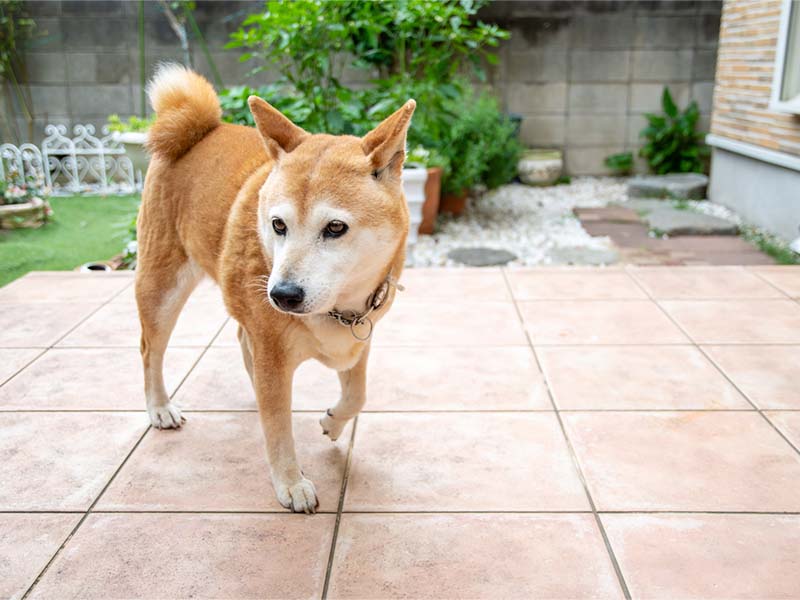 施工写真：遊びの仕掛け